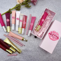 Kit de Maquillage Lèvres Brillant en Gros : Gloss, Crayon à Lèvres, Huile Repulpante à l'Acide Hyaluronique et Vitamine E, Anti-transfert et Imperméable, Marque Privée
