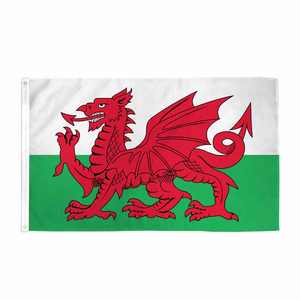 <span class=keywords><strong>Drapeau</strong></span> de l'île de <span class=keywords><strong>Man</strong></span> Drapeaux nationaux de couleur personnalisée durable en polyester imprimé numérique de haute qualité pour un usage sportif - Product Image 4