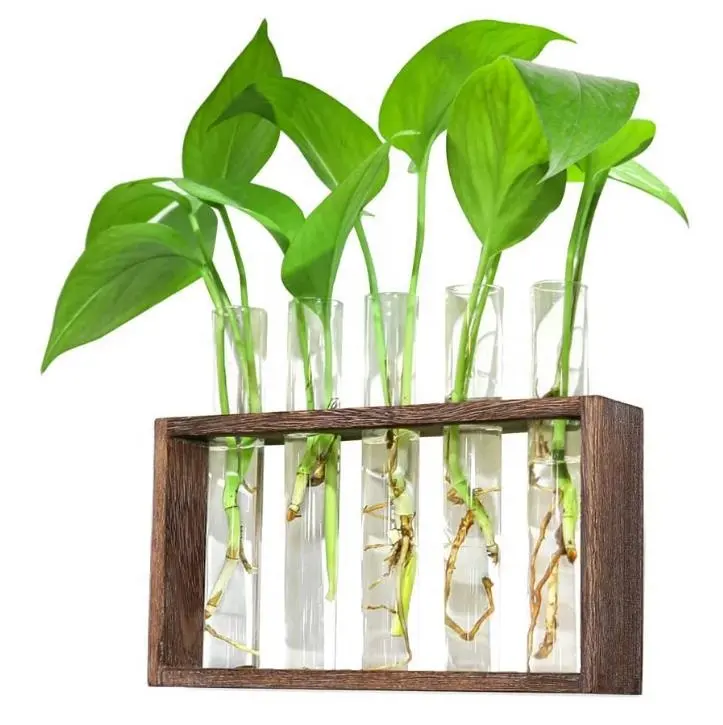 Tabletop Glass Wooden Stand with 4 Test Tube Planter Propagation Station for Propagating Hydroponic Plants