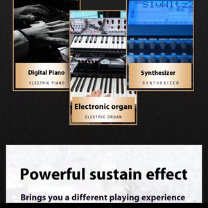 電子キーボードペダル：シンセサイザー、ドラムマシン、その他楽器用 工場直販 頑丈なサスティンペダル - Product Image 3