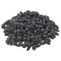 Kaufen Sie Indische Schwarzkümmel-Samen Kalonji Nigella-Samen Natürliche Ganze Gewürzsamen Exportqualität Hohe Reinheit Großhandelslieferung