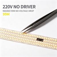 Bande lumineuse LED COB flexible 220V, auto-adhésive en silicone souple Ra80-90, éclairage d'ambiance chaud/blanc pour plafonds et salons