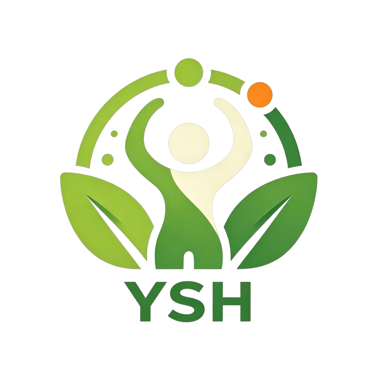 Shaanxi YSH health Co.,Ltd logo