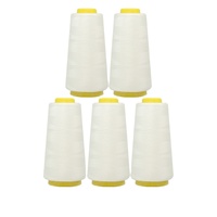 Fil à coudre 40S/2 100% polyester haute ténacité multicolore pour machine, personnalisable OEM