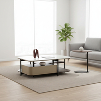 Meubles de salon contemporains et modernes, table basse en acier inoxydable, design en panneaux de bois, table centrale pour appartement et maison