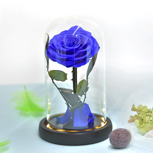 Regalo de San Valentín, Rosa Preservada, Pequeño Príncipe Rojo, Flor Eterna, Rosa Real con Cubierta de Cristal - Product Image 6