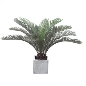 Groenblijvende Plant Kunstmatige Sago Cycas Voor Indoor Decoratie