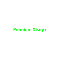Cuenta de Streaming Dix Ney Plus Premium de 1 Año, 4K Ilimitado, Estable, Global, Compatible con TV Stick en la UE, Uso Doméstico, Compatible con Mac, Películas, Programas de TV