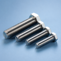 Vis de fixation hexagonales externes en acier inoxydable 304 M16, longues, à dents, pour la construction, DIN 933