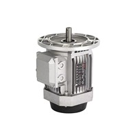 Moteur asynchrone triphasé certifié CE 380V 120W pour applications de convoyeurs
