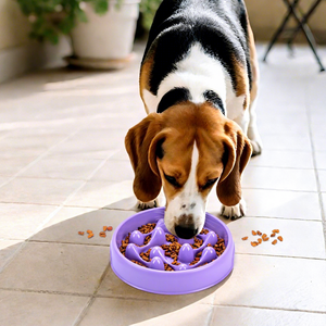 Nouveauté Bol à Manger Lent pour Chien, Bol à Nourriture pour Animaux de Compagnie Antidérapant Anti-Basculement avec Contrôle des Portions, Conception Anti-Étouffement pour Petits Chiens - Product Image 5