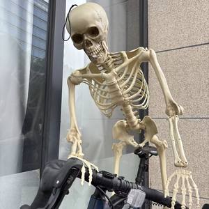 Squelette d'Halloween <span class=keywords><strong>de</strong></span> simulation humaine, accessoires <span class=keywords><strong>de</strong></span> décoration pour fête d'<span class=keywords><strong>horreur</strong></span>, squelette d'<span class=keywords><strong>horreur</strong></span>, enseignement <span class=keywords><strong>de</strong></span> <span class=keywords><strong>l</strong></span>'<span class=keywords><strong>anatomie</strong></span> humaine - Product Image 6