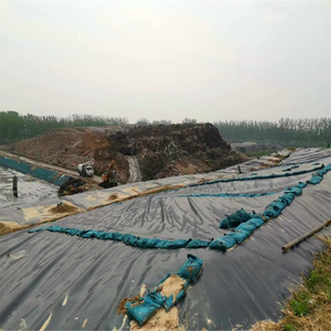 Nông nghiệp Pond <span class=keywords><strong>Liner</strong></span> 1mm không thấm nước <span class=keywords><strong>HDPE</strong></span> bãi rác <span class=keywords><strong>geomembrane</strong></span> lót 0.75mm 1mm 1.5mm Pond <span class=keywords><strong>Liner</strong></span> geomembranes giá - Product Image 2