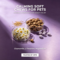 OEM ODM Marque Privée Friandises Apaisantes pour Chiens et Chats avec L-Théanine pour Soulager le Stress - Absorption Rapide & Complément Alimentaire Sûr pour Animaux