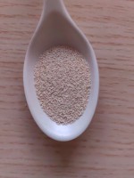Approvisionnement d'usine Saccharomyces Cerevisiae 200 | Poudre de levure sèche de qualité alimentaire avec fermentation rapide