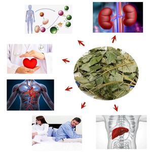 <span class=keywords><strong>Integratori</strong></span> a base di erbe di erba di capra arrapata per adulti non per adolescenti o donne in gravidanza - Product Image 5