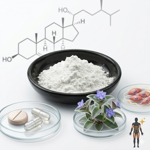 Poudre de 20-Hydroxyecdysone, Ecdysone, Bêta-Ecdystérone, Extrait de <span class=keywords><strong>Cyanotis</strong></span> Arachnoidea, Bêta-Ecdysone/20-Hydroxyecdysone - Product Image 3