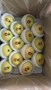 Singo Pear、Ya Pear、Golden pear、Crown pear、Fuji Apple from Guanixian、Shandong Province、中国