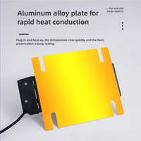 Plaque chauffante en acier inoxydable pour buffet, panneau d'isolation, thermostat de contrôle pour utilisation en cantine, chauffage électrique argent