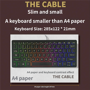 Clavier en plastique 78 touches 60% filaire RGB ultra-plat mini rétroéclairé <span class=keywords><strong>pas</strong></span> <span class=keywords><strong>cher</strong></span> - Product Image 2