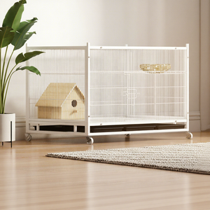 Vente directe d'usine fil de haute qualité viande spéciale Pigeon <span class=keywords><strong>Cage</strong></span> d'élevage professionnel grande <span class=keywords><strong>Cage</strong></span> Pigeon métal ferme durable - Product Image 3