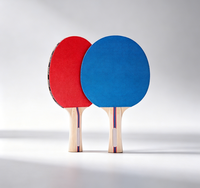 Ensemble de raquettes de tennis de table en bois 5 plis de haute qualité avec surface en caoutchouc à picots, balles et kit de jeu pour sports d'intérieur