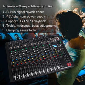 Console de mixage DJ professionnelle OEM DT12, entrée MP3, alimentation fantôme 48V, mixeur audio 12 canaux - Product Image 6