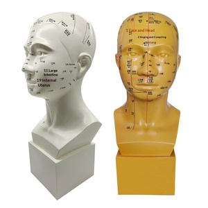 Modelo de Enseñanza de 47 cm de Puntos de Acupuntura de la Cabeza, Medicina Tradicional China, Acupuntura y Masaje Facial con Puntos de Acupuntura - Product Image 3