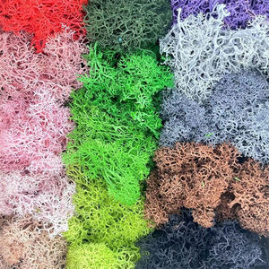 गर्म बिक्री रंगीन रेहिरण मॉस ने परिदृश्य दीवार फर्श डिकोड के लिए घास सफेद काले नीले स्थिर मॉस को संरक्षित किया - Product Image 3