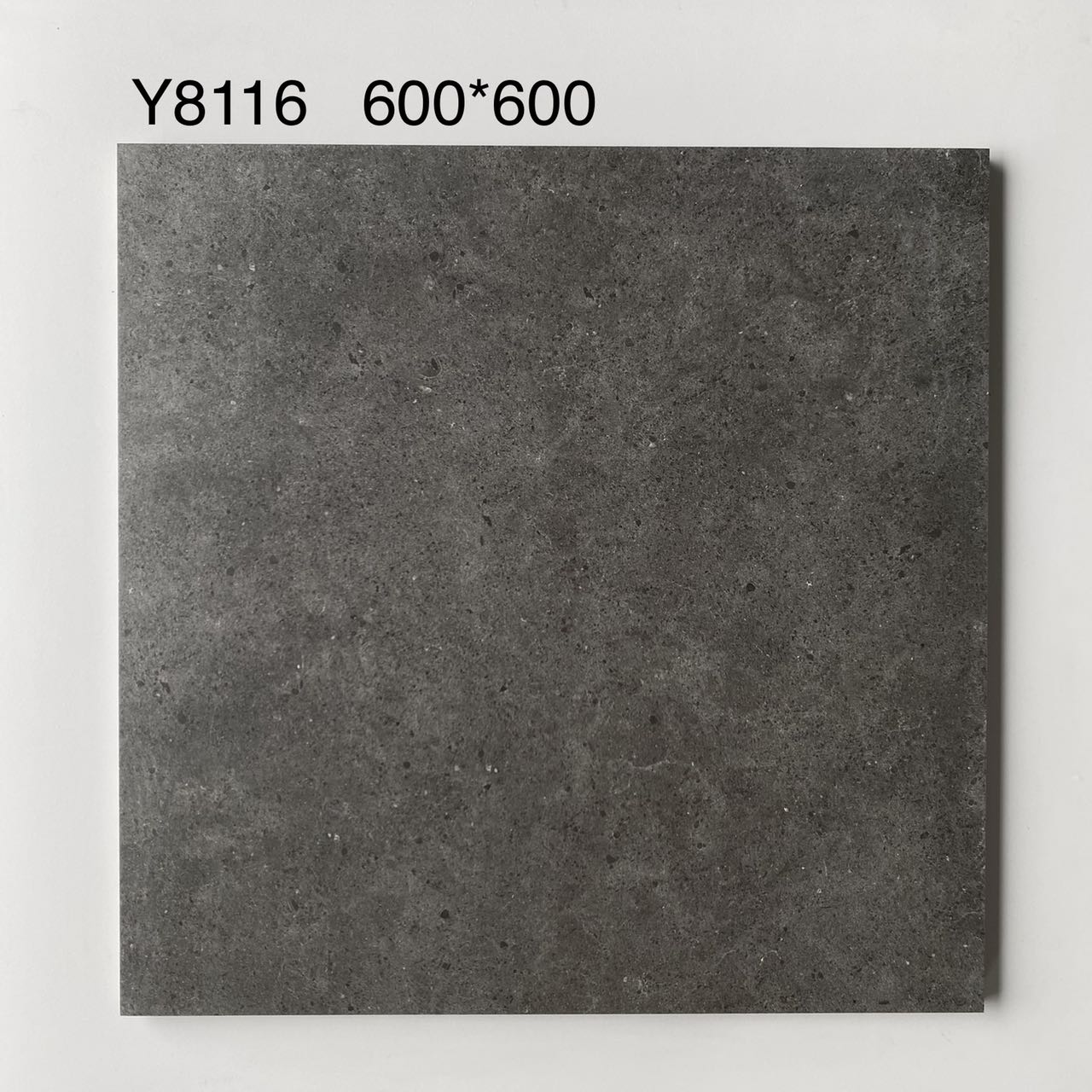 Numéro de modèle: Y8116