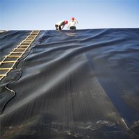 Membrane géocomposite en géotextile polyester HDPE renforcé de 1 mm - Protection double couche pour pentes industrielles raides, barrages et revêtements de bassins 5