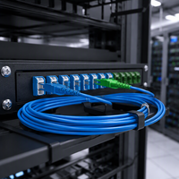 Kabel Patch Fiber Optik Multimode 2.0mm 3.0mm LSZH OM3 OM4 SC/UPC-E2000/APC 1310/1550nm untuk Pusat Data FTTX