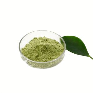 ผู้จัดจำหน่ายผง CAS นาโนทังสเตนไตรออกไซด์ (WO3) ชั้นนำ - Product Image 3