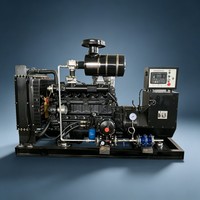 Générateur de gaz naturel/biogaz silencieux à vitesse constante 1500 tr/min, sortie de fréquence stable, garantie de 2 ans pour une utilisation sûre