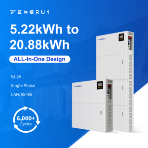 Paquete de Baterías de Almacenamiento de Energía para el Hogar, Híbrido y Apilable, 51.2V 5.22~20.88kWh 102Ah, Bajo Voltaje, 6000 Ciclos, WSL48100, Módulo Apilable - Product Image 2