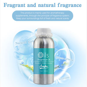 Échantillon gratuit plus de 700 sortes d'hommes et de femmes marque originale concepteur parfum en vrac huile de parfum - Product Image 4