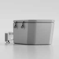 Baignoire à glace gonflable portable à isolation élevée et inclinée + Refroidisseur de bain froid miniature 0,8 CV pour intérieur et extérieur