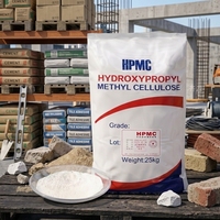Hydroxypropylméthylcellulose HPMC 200000 Mpa Tylose Ginshicel Barucell Methocel Nitrosol Ether Shandong Pureté 99% Peinture