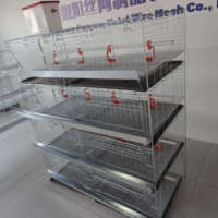 Nouvelle cage à poulets galvanisée de type H pour petits poussins et poulets de chair avec système d'abreuvement automatique
