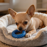 Grappig piepend schattig interactief kauwspeeltje voor honden - tandenreinigend duurzaam milieuvriendelijk