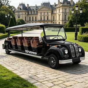 Carro Eléctrico Clásico Vintage Certificado CE, Buggy Retro de 4 Ruedas para Turismo, Motor AC de 5KW, Baja Velocidad, Ideal para Recepción en Villas y Resorts - Product Image 1