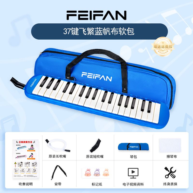 Modèle de base soft-pack bleu 37 touches