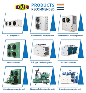 14HP 4NES-14 minus25 Unidad de condensación de enfriador de cámara fría Original Bitzer China Compresor semihermético refrigerado por aire R509 380V - Product Image 6