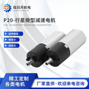 Motor de engranajes planetarios ZhiRiYue PA20 con relación de 19:1, motor de corriente continua para uso industrial - Product Image 5
