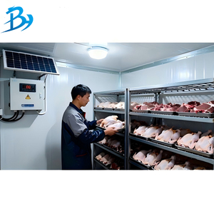 Cella Frigorifera Solare a Congelamento Rapido, Cella Frigorifera Walk-in Alimentata a Energia Solare, Piccolo Sistema di Stoccaggio Refrigerato Solare per Fattoria - Product Image 6