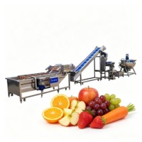 Industriële fruit-sap extractielijn, apparatuur voor de verwerking van vers geconcentreerd sap voor drankenfabrieken