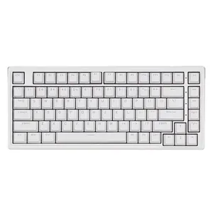 Oem Custom Wired Keyboard 75% 83 Keys Rgb Hot Swappable Professional Purple Mechanical Gaming Keyboard