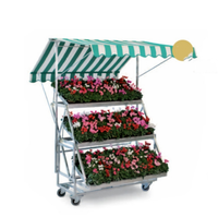 Présentoir en métal personnalisé Bassin de salle de fleurs Type de plancher Multi Viande Rack pour l'affichage