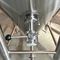 1BBL Fermenteur sous pression Home Brew Beer Petit réservoir de fermentation 1BBL Homebrew Fermenteur Unitank Micro Brewery Equipment