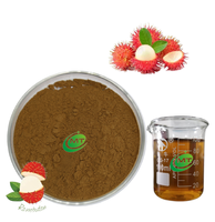 Mt Gezondheid 100% Zuiver Nephelium Lappaceum Rambutan Extract Poeder